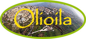 Dalle antiche terre sabine, un pregiato extra vergine - Olioila